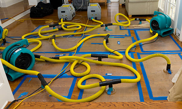 Professional Crawl Space Water Removal technician working in Anza, CA
